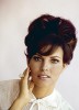 photo Raquel Welch