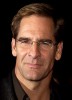 photo Scott Bakula