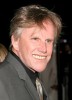 photo Gary Busey