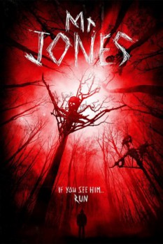 poster Mr. Jones&nbsp;&nbsp;(2013)