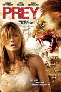 poster Prey 2007 (Afrika)&nbsp;&nbsp;(2007)